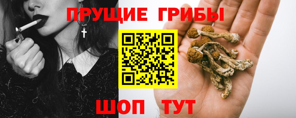 Галлюциногенные грибы ЛСД Свободный